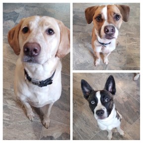 20191123_093433-COLLAGE