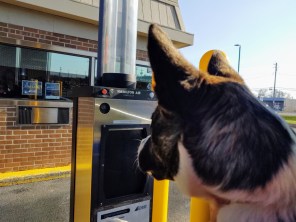 IMG_20191126_120504797~2