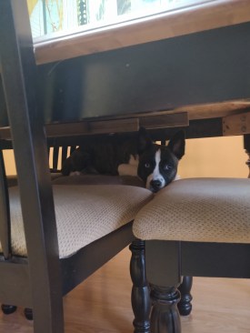 IMG_20191231_081612724