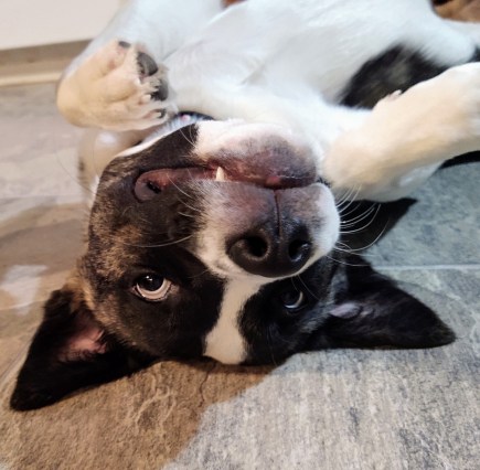 IMG_20200126_191416719~2